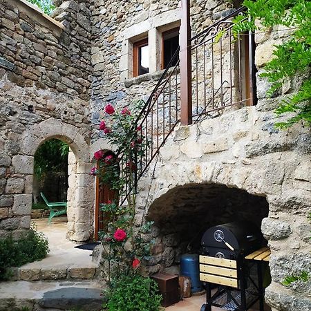 Les Chataigniers Gites Du Mas Haut Saint-Jean-du-Gard Exterior foto