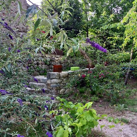 Les Chataigniers Gites Du Mas Haut Saint-Jean-du-Gard Exterior foto