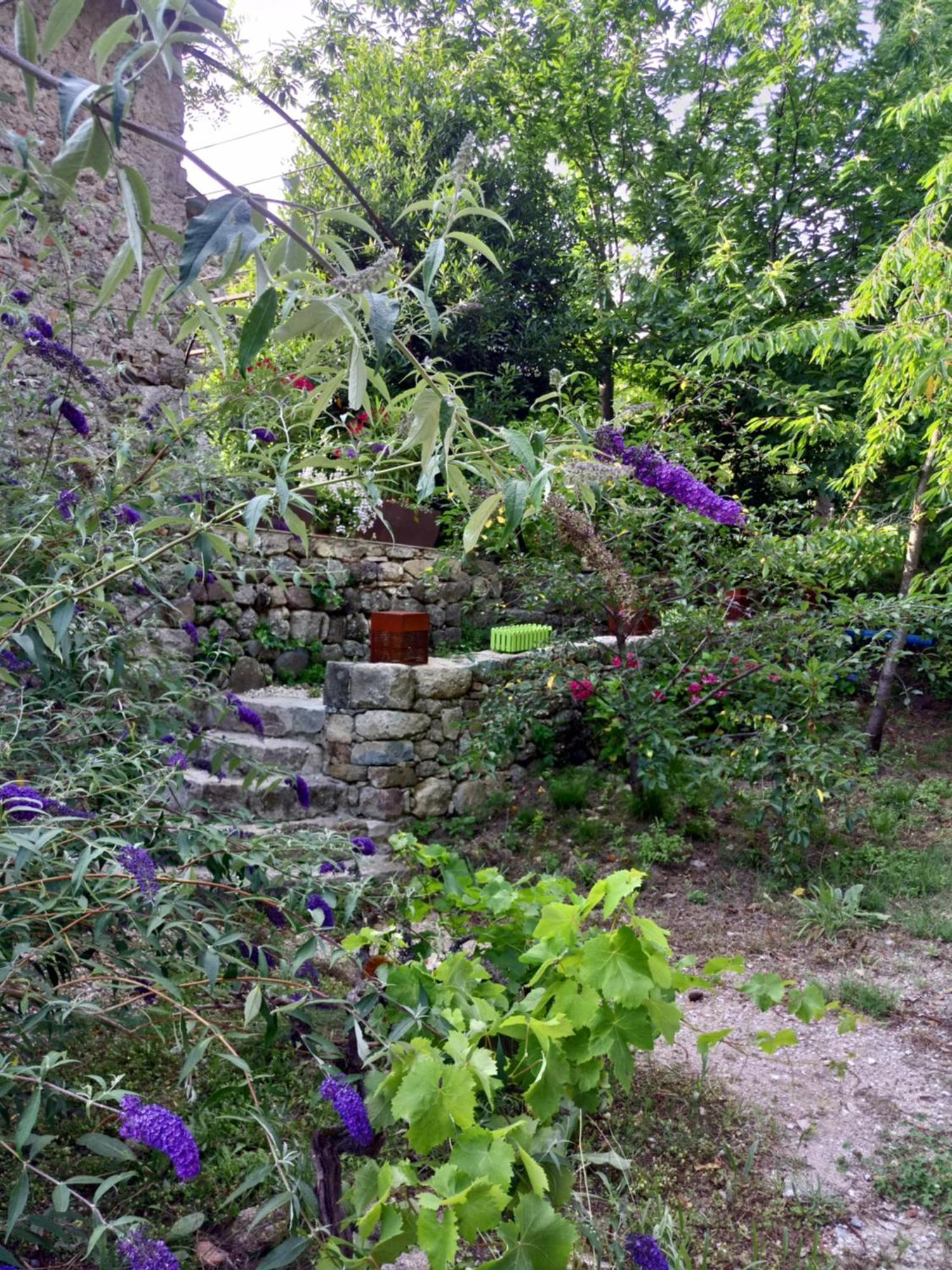 Les Chataigniers Gites Du Mas Haut Saint-Jean-du-Gard Exterior foto
